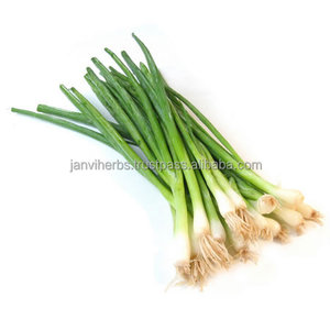 น้ำมันหอมระเหยตะไคร้หอมธรรมชาติสำหรับน้ำหอมและการดูแลส่วนบุคคล - Product Image 6