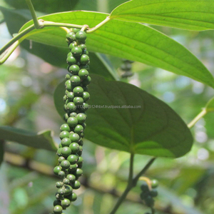 Papalote en poivre noir purifiant, 500 g/l, pour le Vietnam - Product Image 5