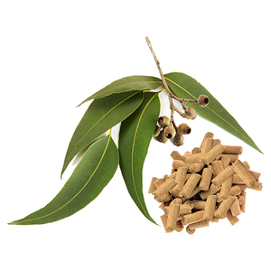 Huile d'eucalyptus pure, essentielle, biologique, certifiée GMP indienne, distillée à la vapeur - Product Image 3