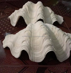 Conque Coquillage - Product Image 2