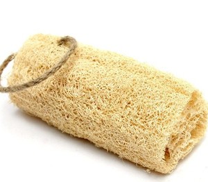 Vietnam Natural Loofah <b>Sponge</b> Used for Washing Dishes/<b>bath</b>/Natural Fiber Loofah Scrub/White Loofah - Product Image 3