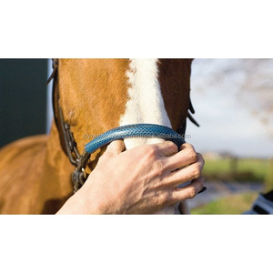 Brida Clásica de Cuero para Caballo, Brida Beniers de Cuero para Caballo, Brida Beniers de Cuero para Caballo de Temporada - Product Image 3