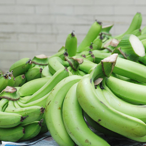 Cavenlavavajillas-fruta fresca, plátano de Vietnam, precio competitivo con la mejor calidad para el comprador - Product Image 1