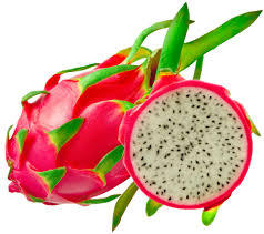 Fruit du Dragon frais du Vietnam de haute qualité/vacances - Product Image 2