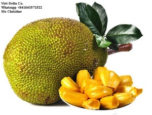 แจ็คผลไม้แช่แข็งจากเวียดนาม - Product Image 6