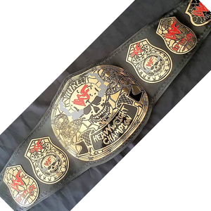 Cinturón de Campeonato de Lucha Libre Rojo de Acero Inoxidable Personalizable de Alta Calidad para Competencia de Taekwondo, OEM/ODM Disponible - Product Image 1