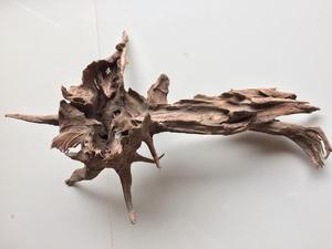 ที่ปลูกต้นไม้ลมทิลแลนด์เซียแบบแขวน - Product Image 4