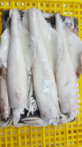 Mực Đỏ Đông Lạnh Loligo, Mực Đóng Gói Phong Cách Số Lượng Lớn, Hàng Mới Về, Có Trọng Lượng, Xuất Xứ La Tinh - Product Image 5