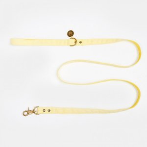 Yellow Jeans <b>Leash</b> for Dog, Denim <b>Pet</b> <b>Leash</b>, Jeans Summer <b>Leash</b> - Product Image 1