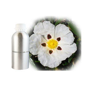 Huile essentielle de labdanum pure à base de résine, distillée à la vapeur provenant des régions méditerranéennes pour améliorer la beauté - Product Image 3