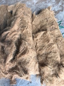 베트남 코코넛 섬유 18-19% 수분 DAILOC VINA + 84 938244404