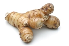 Galanga แห้งจากเวียดนาม - Product Image 5