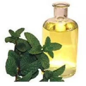 Menthofuran, de proveedor indio - Product Image 1