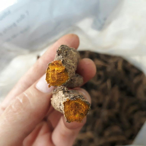 Curcuma en vrac de haute qualité au meilleur prix - Product Image 4