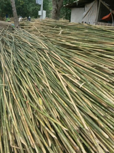 Postes de bambú de Vietnam-Precio barato - Product Image 6