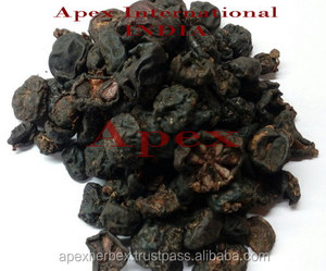 Extrait de Garcinia Cambogia Extrait de Garcinia - Product Image 6