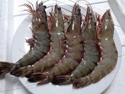 Camarones Vannamei Congelados Premium de Vietnam, IQF, Camarones de Pata Blanca |   Proveedor Mayorista de Exportación VietDelta |   Mr.Tom con 1 Año de Vida Útil - Product Image 6