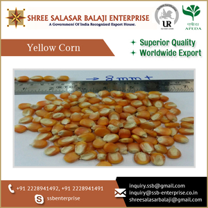 Maíz amarillo/maíz amarillo precios de alimentación de pollo/alimentación de animales y aves harina de maíz amarillo - Product Image 6