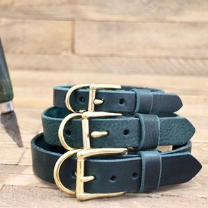 สุนัขปลอกคอทองเหลืองทอง,สัตว์เลี้ยง,Customหมวดหมู่WDS-0069 - Product Image 1