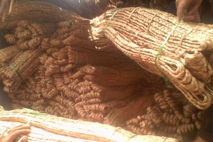 Material de tejido de jacinto de agua natural para muebles y artesanías Vietnam - Product Image 5