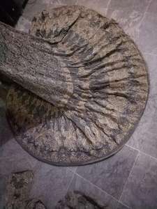 Gray & gold heavy beautiful-vestidos de novia de diseñador lengha de choli totalmente trabajados a mano, vestidos de novia de Pakistán, falda de diseñador Bridals India - Product Image 3