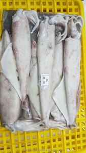 Mực Đỏ Đông Lạnh Loligo, Mực Đóng Gói Phong Cách Số Lượng Lớn, Hàng Mới Về, Có Trọng Lượng, Xuất Xứ La Tinh - Product Image 4