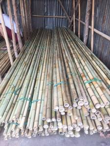 Perche décoratif en bambou de multiples tailles, produit de haute qualité d'afrique du vietnam, nouveauté - Product Image 3