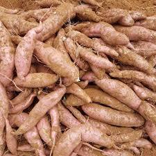 BATATA/ <b>SWEET</b> <b>POTATO</b> in the CHEAP PRICE FROM VIETNAM - Product Image 6