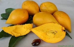 ข้อเสนอผลไม้ lucuma ออร์แกนิกจากเวียดนาม - Product Image 5