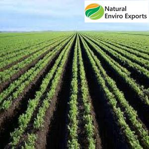 ปุ๋ยอินทรีย์-เค้กสะเดา - Product Image 2