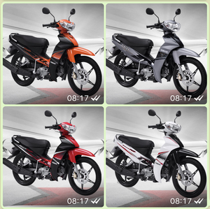 Moteur à engrenages 110cc fabriqué au Vietnam (rouge/blanc) - Product Image 2