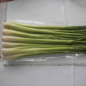 2018 Citronnelle fraîche congelée au four de haute qualité directement du Vietnam - Product Image 1