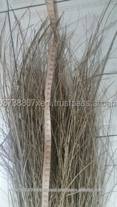 NETTOYÉ BALAI COCO BÂTON DU VIETNAM - Product Image 4