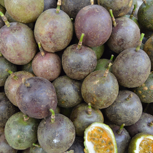 VENTA CALIENTE PAQUETE DE FRUTA DE LA PASIÓN FRESCA EN BOTELLA A LA VENTA - Product Image 2