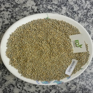 ข้าวฟ่างสีเขียว bajara - Product Image 3