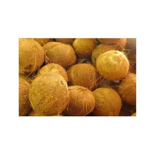 Сушеный кокос/зрелый кокос для продажи в мире из Вьетнама высокого качества