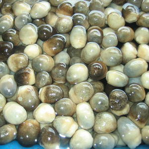 เวียดนามที่มีคุณภาพสูงฟางเห็ดในน้ำเกลือ/Ms Tracy - Product Image 1