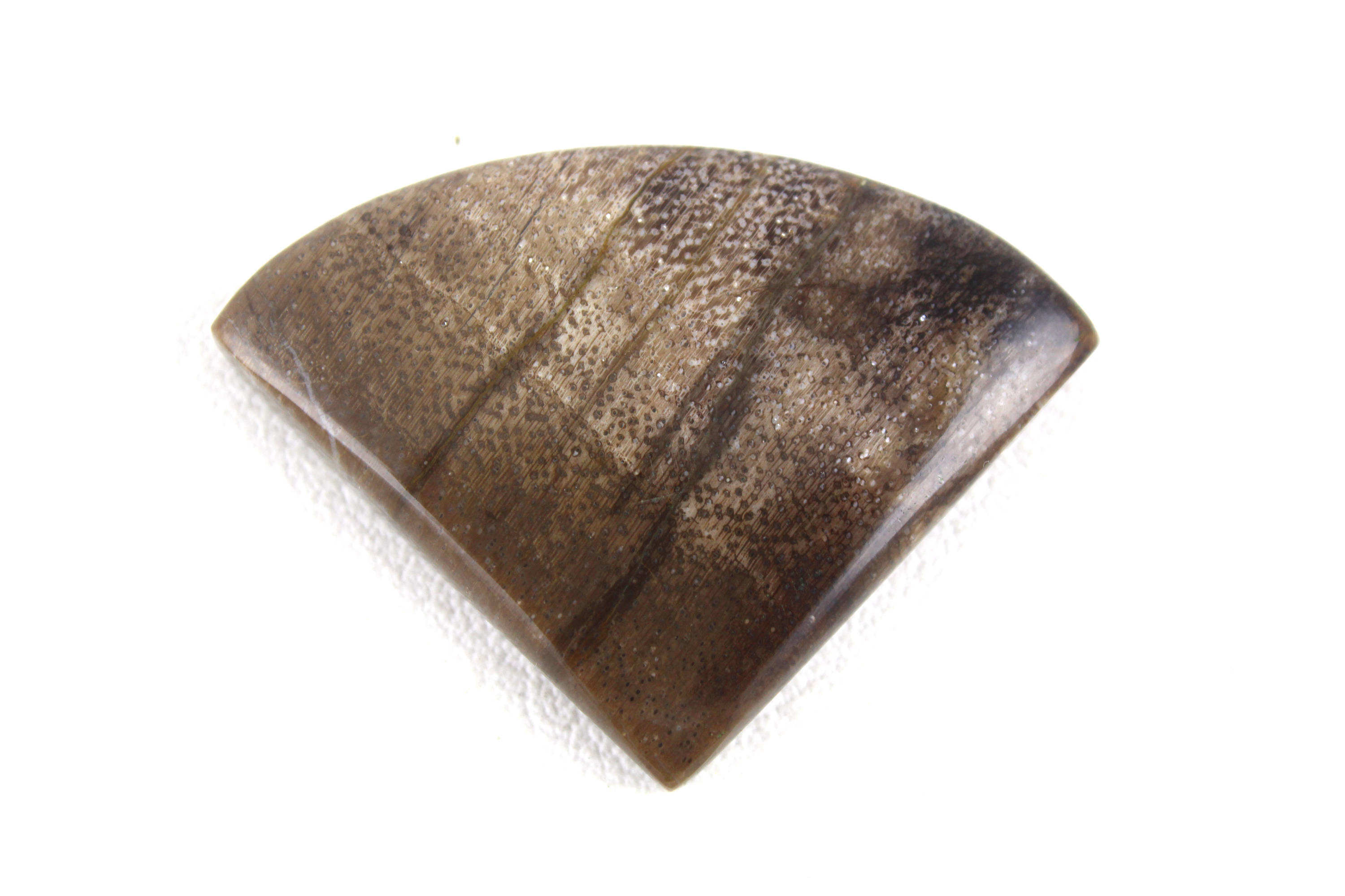 สีน้ำตาล