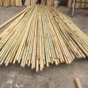 POLOS DE BAMBÚ DE BUENA CALIDAD/CAÑAS DE BAMBÚ DE VIET NAM - Product Image 6