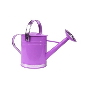 Arrosoir de plantes en acier galvanisé fait à la main à bas quantité minimale de commande grossiste fournisseur vente directe d'usine - Product Image 1