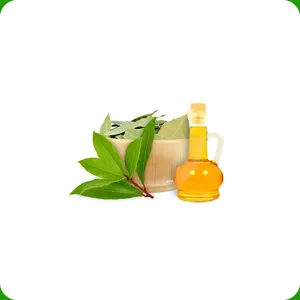 Antiseptic Antibiotic Astringent Tonic Bay Leaf Oil used to cure Skin Problems and Helps in Heal Wound for Wholesale Purchase