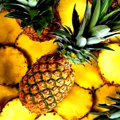 Hand Harvested Organic Pineapple Frozen for Freshness No Added Sugar Fresh pineapple high quality/ Cheap/ Viet Nam/Ms.Holiday