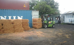 ใยมะพร้าว/ใยมะพร้าวสำหรับทำที่นอน/ใยมะพร้าวปอกเปลือกในปี 2020 - Product Image 5