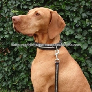 Collar de perro Martingale con cadena - Product Image 2