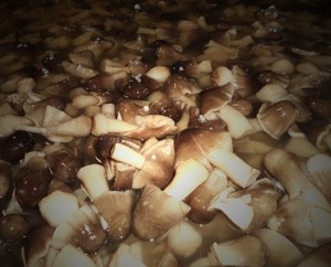 Paddy Straw Mushroom Origin Vietnam Hot Price/ Tracy(<b>Ms</b>) +84 904 183 651 - Product Image 2