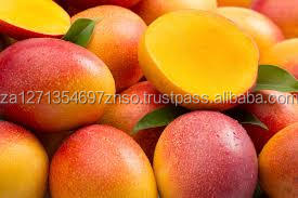Mangue jaune Alphanso fraîche / Mangue jaune Alphanso lyophilisée / Mangue jaune Alphanso en conserve - 100% naturelle - Product Image 4