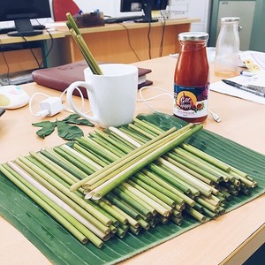 Eco-Friendly <b>Bamboo</b> Drinking <b>Straws</b> 200mm Biodegradable Reusable Party <b>Straws</b> Minimalist Style 8mm Inner Diameter - Product Image 6