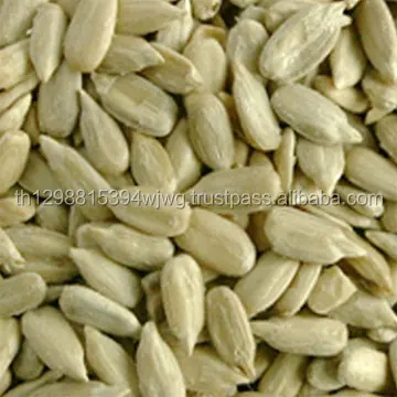 GOOD wholesale black oil sunflower seeds