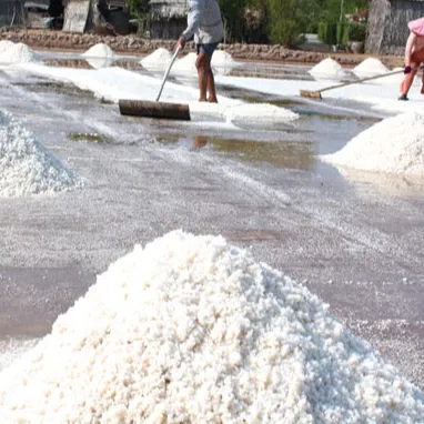 Export Natural Sea Salt Vietnamからwhatsapp + 84 845 639 639