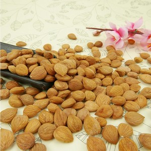 Núcleos de Albaricoque Dulces Premium, Crudos y Secos, Origen Sudáfrica, Grado Alimenticio Pre-ordene Ahora - Product Image 2